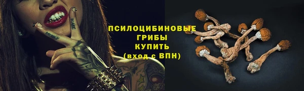 бошки Козловка