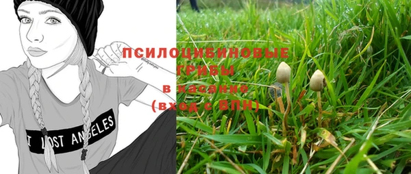 прущие крисы Кодинск