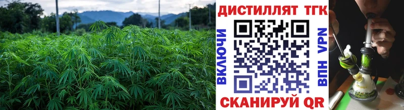 Дистиллят ТГК Wax  Купить  Петровск-Забайкальский 