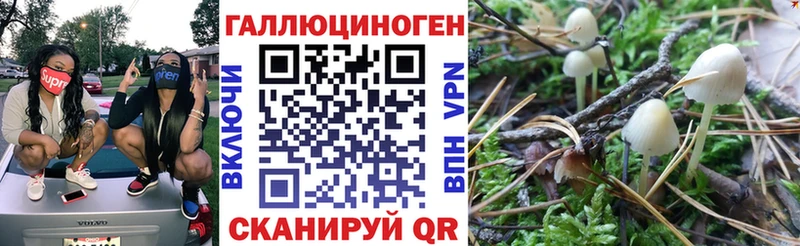 Галлюциногенные грибы ЛСД  Купить закладки  Петровск-Забайкальский 